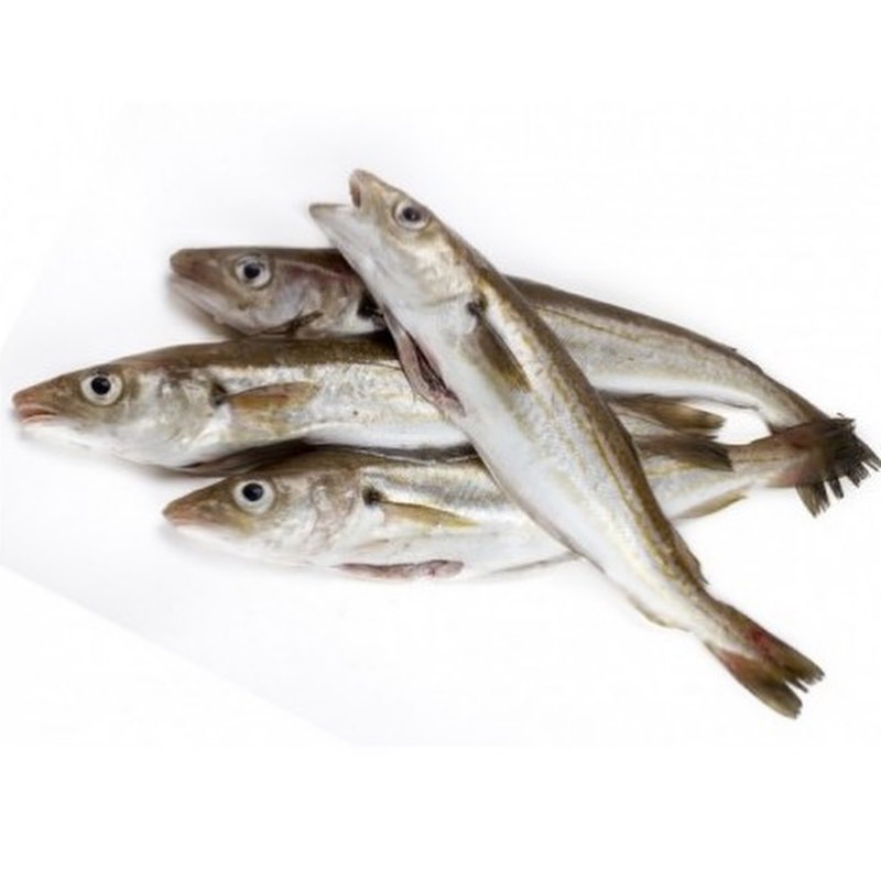 sardine fraîche