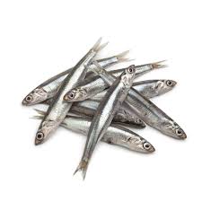 Anchois (Anchois frais)