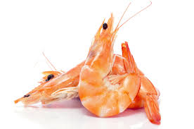 Crevettes roses